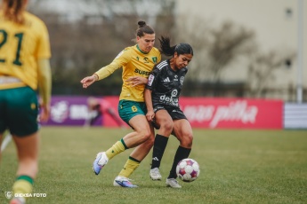 Fot. Tomasz Błaszczyk