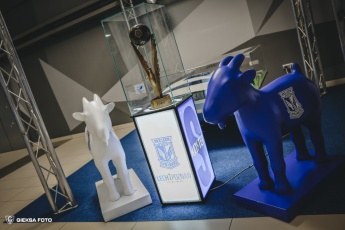 Fot. Tomasz Błaszczyk