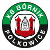 Górnik Polkowice